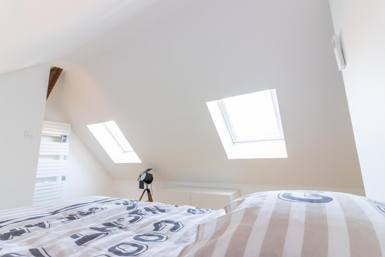 Magnifique Appartement Duplex Climatise De 40M² Nancy Ngoại thất bức ảnh