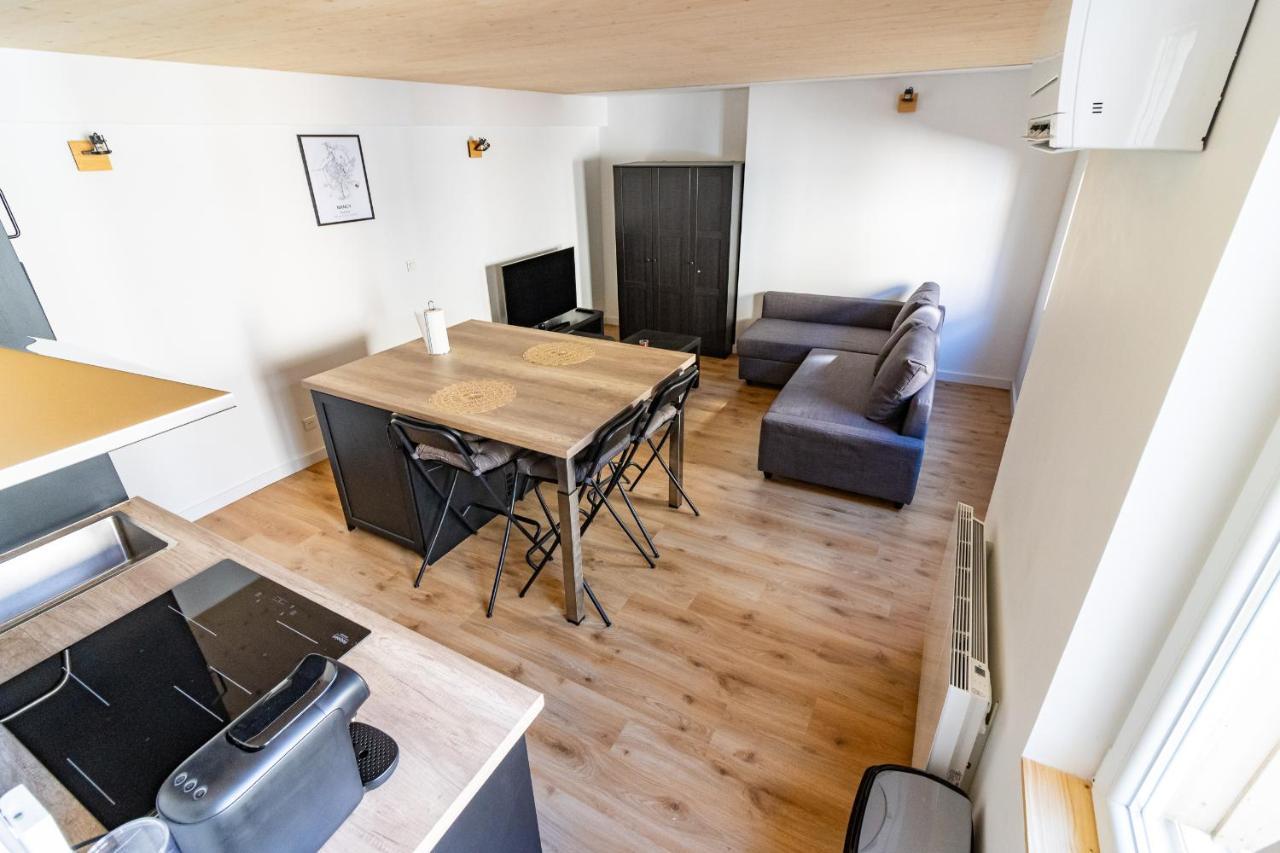 Magnifique Appartement Duplex Climatise De 40M² Nancy Ngoại thất bức ảnh