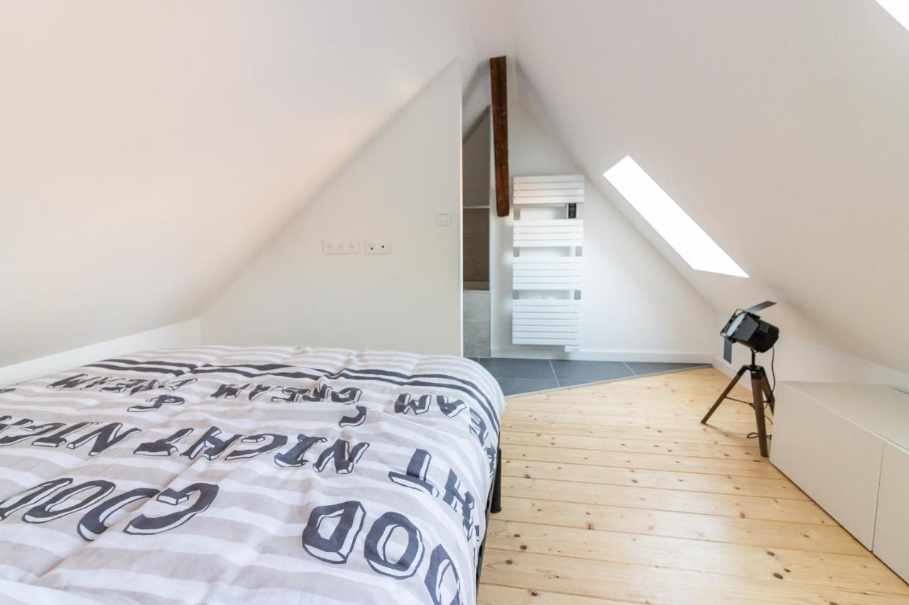 Magnifique Appartement Duplex Climatise De 40M² Nancy Ngoại thất bức ảnh